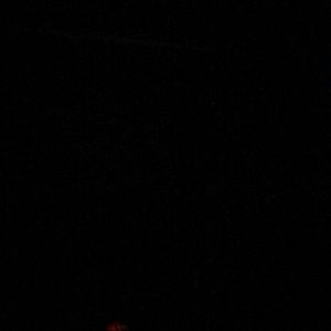 Meet your Posher, King